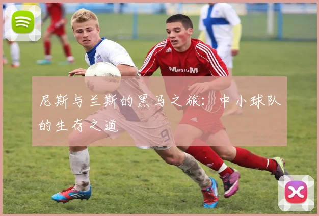 尼斯与兰斯的黑马之旅：中小球队的生存之道
