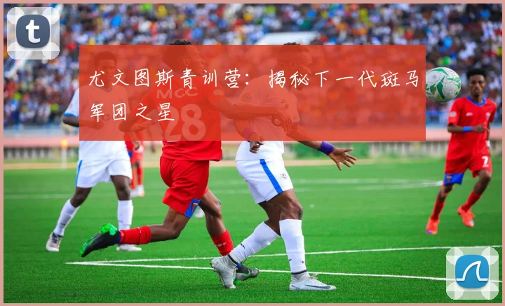 尤文图斯青训营：揭秘下一代斑马军团之星