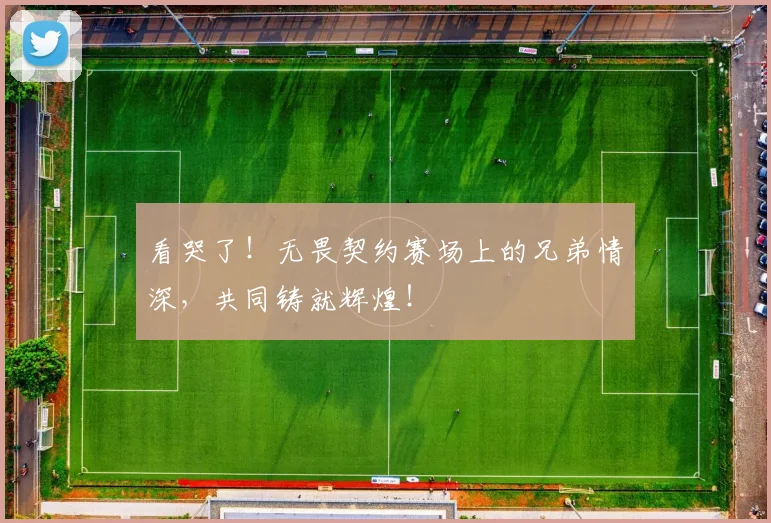 看哭了！无畏契约赛场上的兄弟情深，共同铸就辉煌！